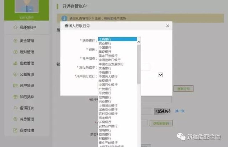 构建未来的支付桥梁：电子钱包开发案例分析