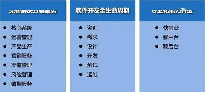 电子钱包开发选购指南
