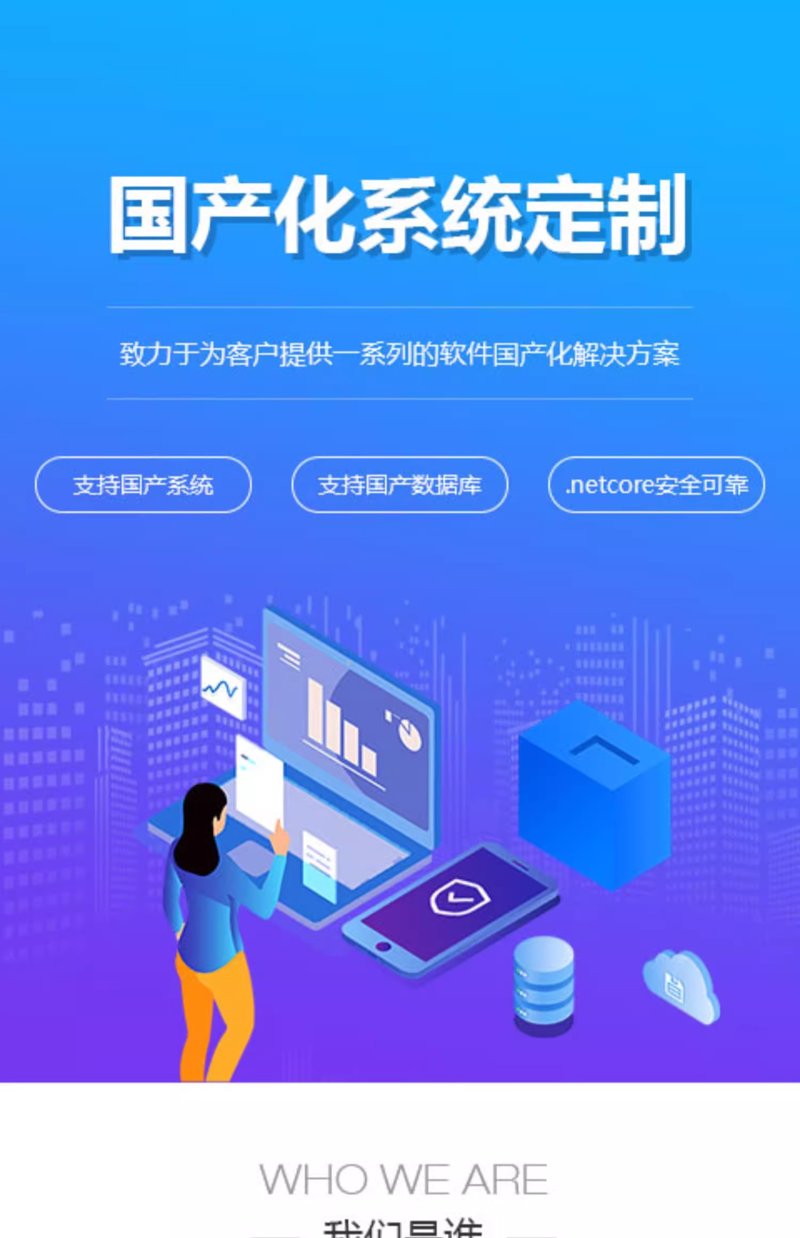 警惕支付系统定制误区